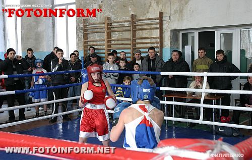 В Кировограде состоялся чемпионат области по боксу (ФОТО)