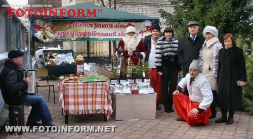 Цього року лісівники Кіровоградщини реалізували новорічних ялинок майже на 1,7 млн. гривень (ФОТО)