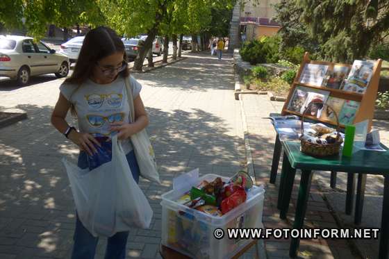 Безпритульним тваринам збирали допомогу у Кропивницькому