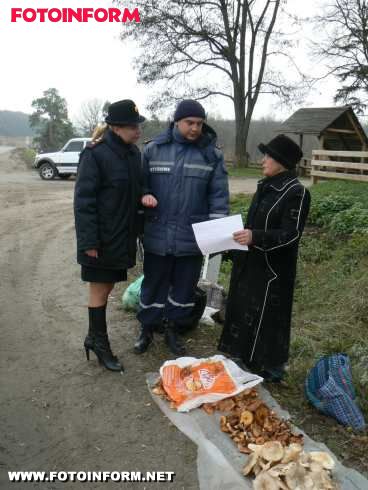 На Кіровоградщині рятувальники перевірили стихійні місця продажу дикорослих грибів (ФОТО)