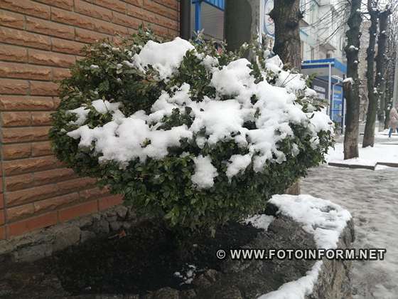 У Кропивницький несподівано повернулася зима , фото Ігоря Філіпенка.