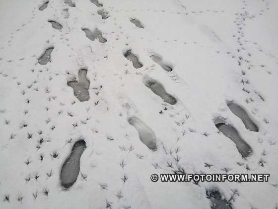 У Кропивницький несподівано повернулася зима , фото Ігоря Філіпенка.