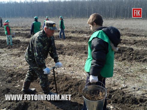 На днях в нашей области стартовала юбилейная, десятая Всеукраинская акция «Майбутнє лісу в твоїх руках».
