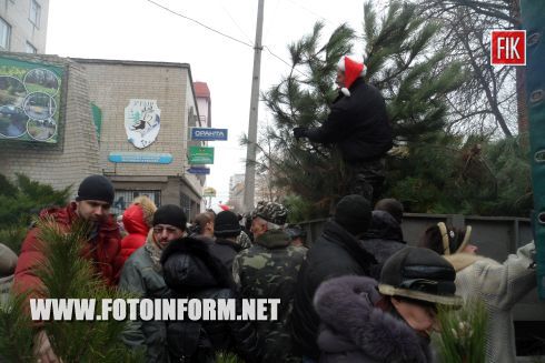 Кировоград: ярмарка новогодних красавиц (ФОТО)