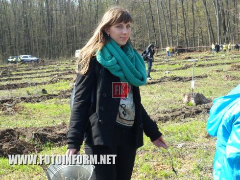 Вчера, 16 апреля, кировоградцы совместным трудом позаботились о будущем Черного леса, Знаменского лесничества, Чернолесского лесхоза.