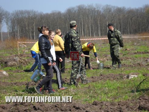 Вчера, 16 апреля, кировоградцы совместным трудом позаботились о будущем Черного леса, Знаменского лесничества, Чернолесского лесхоза.