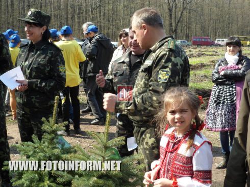 Сегодня, 16 апреля, в Кировоградской области состоялся лесной аукцион.