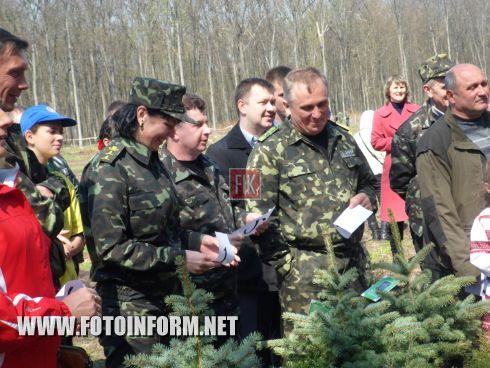 Сегодня, 16 апреля, в Кировоградской области состоялся лесной аукцион.