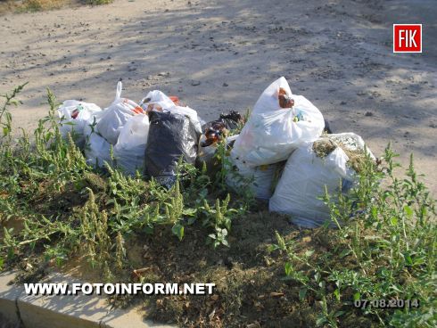 В Кировоград перестали вывозить мусор ? (фото)