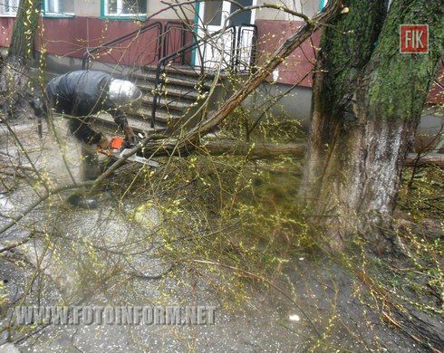 Протягом минулої доби рятувальники Кіровоградщини надавали допомогу по прибиранню дерев, що загрожували падінням через сильні пориви вітру. 