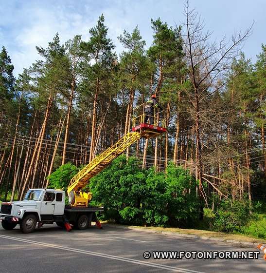 Рятувальники Кіровоградщини 10 разів залучались для усунення перешкод, що створювали аварійні дерева