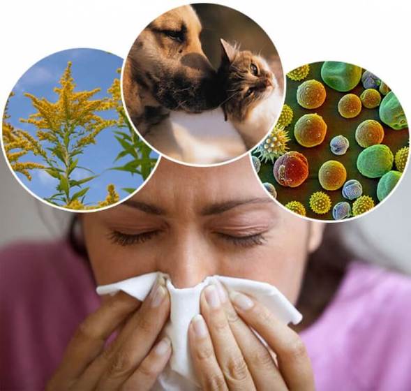 Что нужно знать об аллергии? | Статьи МЦ «Диагностика