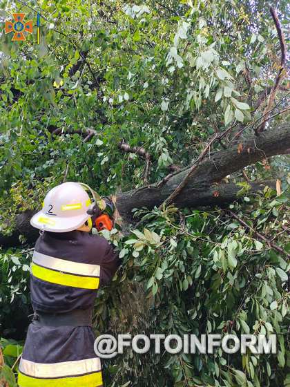 Минулої доби рятувальники надавали допомогу по спилюванню та прибиранню аварійних дерев