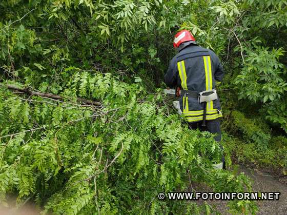 рятувальники надавали допомогу по прибиранню аварійних дерев