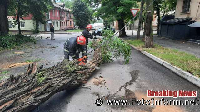 На Кіровоградщині 32 дерева впали на проїжджу частину доріг