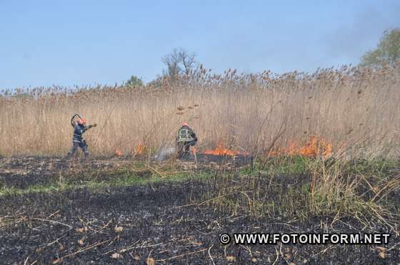 У Кропивницькому рятувальники ліквідували займання очерету на Лелеківці (фото) 