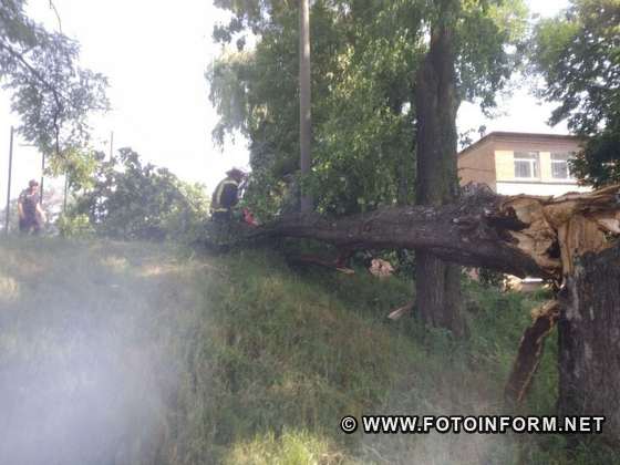 Кіровоградщини кілька разів усували перешкоди, що створювали аварійні дерева