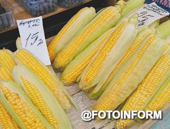Скільки коштує кукурудза у Кропивницькому 