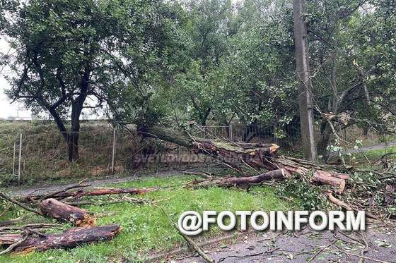 У місті обірвані електропроводи, повалені дерева після суцільної зливи.