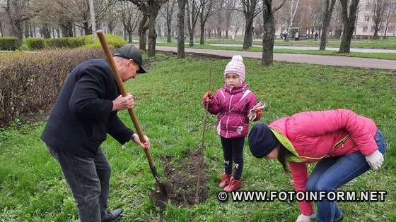 У Кропивницькому на території аграрного коледжу висадили молоді деревця (ФОТО)