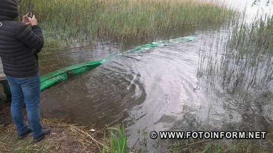 В Олександрійському районі на Світлопільському водосховищі випустили по тонні товстолоба та коропа і 200 кг амура. 