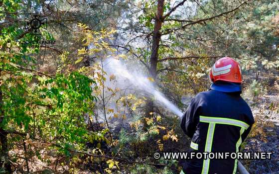 До Служби порятунку 101 надійшло повідомлення про пожежу у лісовому масиві на території Первозванівської громади Кропивницького району. 
