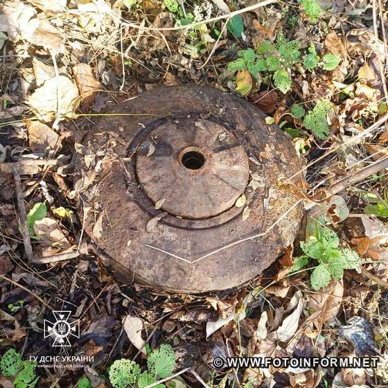 На Кіровоградщині в лісовому масиві знайшли протитанкову міну 