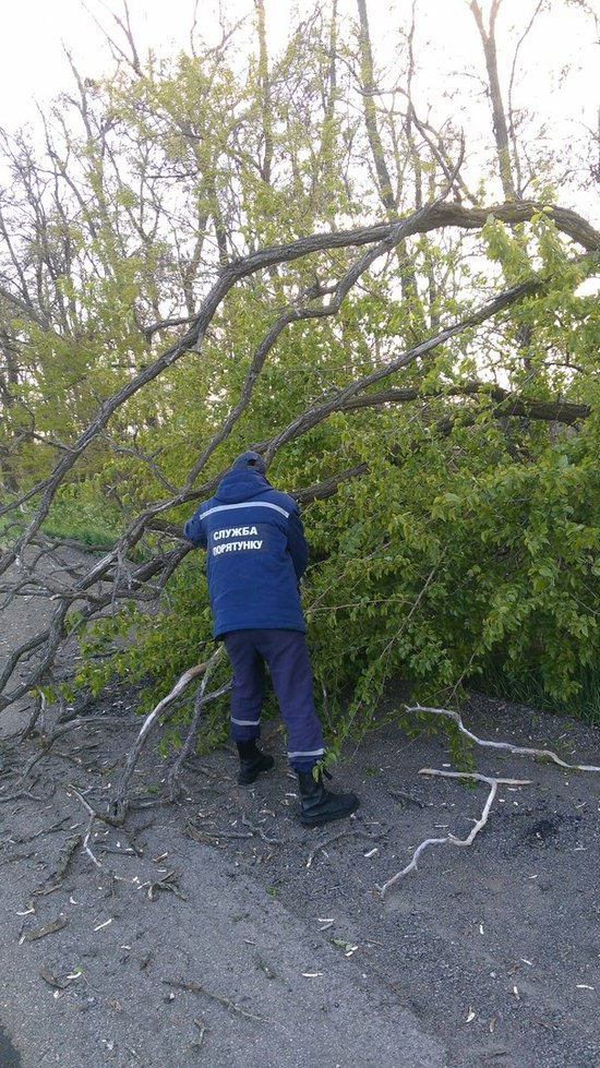 10 травня о 17:07 до Служби порятунку «101» надійшло повідомлення про те, що у с. Мар”ївка Компаніївського району на проїжджу частину дороги впало дерево.