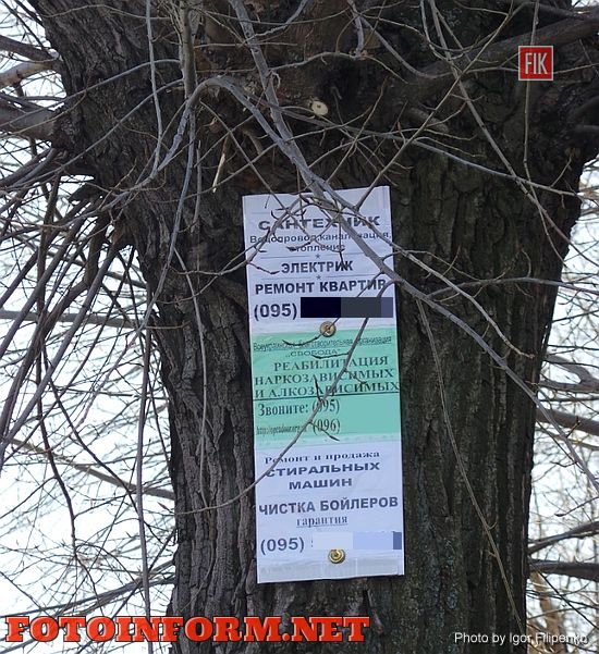 В Кировограде появилась прибитая гвоздями к деревьям реклама (ФОТО)