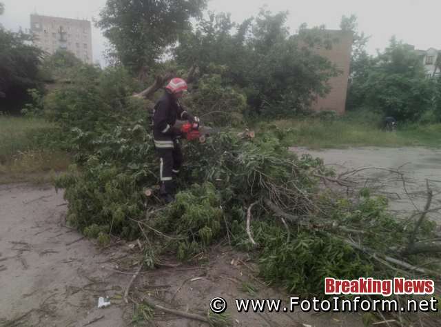 У Кропивницькому на проїжджу частину вулиць Київської і Пашутінської впали дерева
