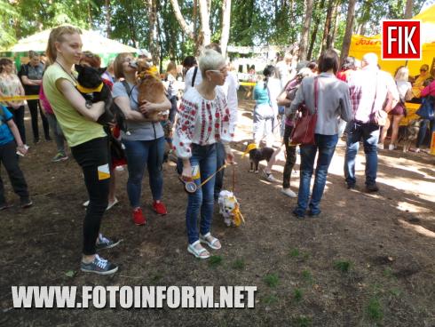 Сьогодні, 19 травня, у місті Кропивницький у парку на Козачому острові розпочалась виставка-конкурс «Кубок Барбоса -2019», повідомляє FOTOINFORM.NET