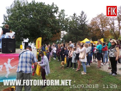З нагоди Дня міста Кропивницького - сьогодні, 15 вересня - у Молодіжному сквері на набережній річки Інгул, розпочалося свято «Смачна кісточка». 