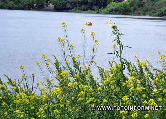 Літо у Кропивницькому: Фоторепортаж вихідного дня, фото ігоря філіпенка,