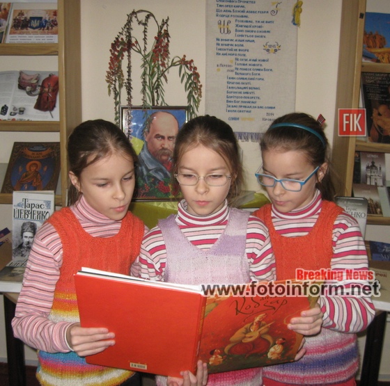 Кропивницький, бібліотекарі, День генія