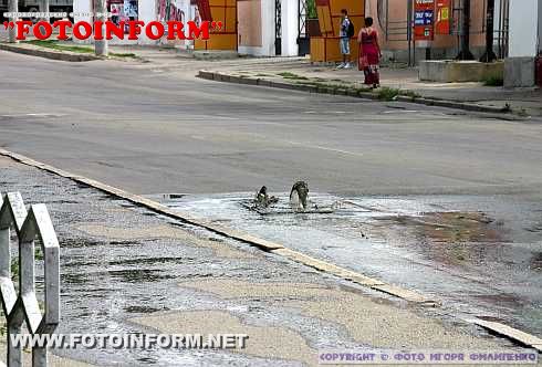 В Кировограде фонтан из фекалий бьет ключом (фото)