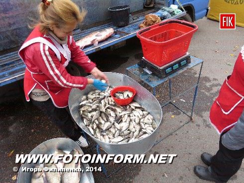 Кировограда ярмарка сельхозпродукции, фото Игоря Филипенко