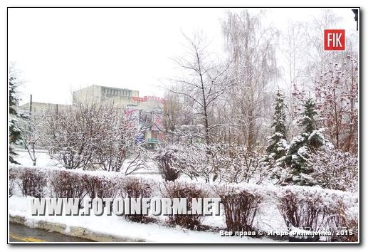 Зимняя сказка в Кировограде (ФОТО)