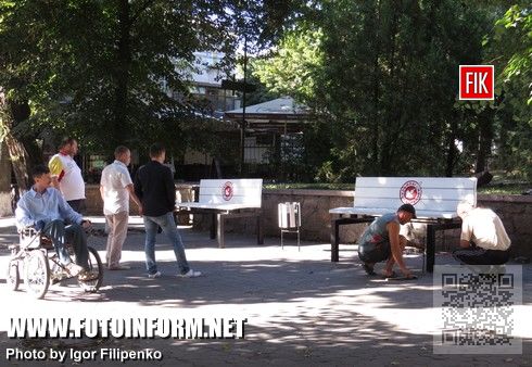 Кировоград, улица Дворцовая, появились первые лавочки, Сергей Васильченко, кировоградские новости