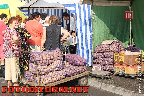 Кропивницкий: в центре города состоялась предпраздничная ярмарка (фоторепортаж)