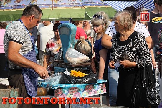Кропивницкий: в центре города состоялась предпраздничная ярмарка (фоторепортаж)
