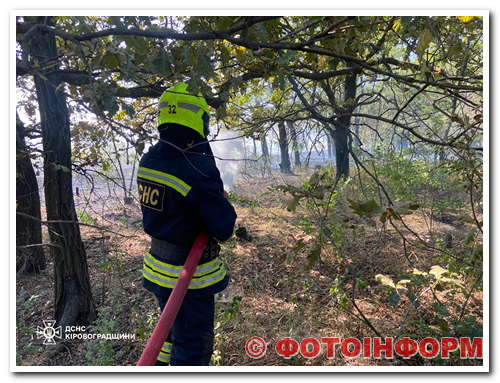 На Кіровоградщині виникло сім пожеж сухої трави та сміття (ФОТО)