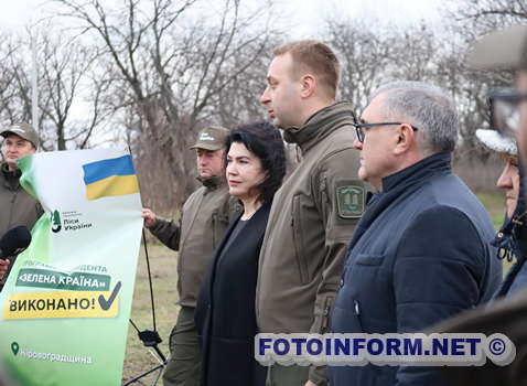 У Кропивницькому висадили символічне дерево (ФОТО)