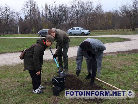 У Кропивницькому висадили символічне дерево (ФОТО)