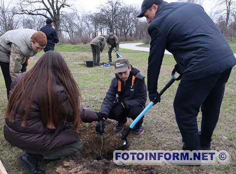 У Кропивницькому висадили символічне дерево (ФОТО)
