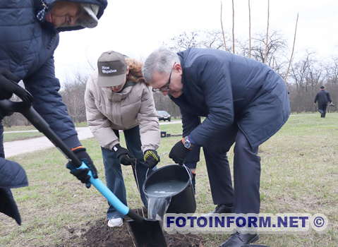 У Кропивницькому висадили символічне дерево (ФОТО)