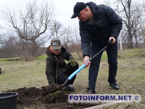 У Кропивницькому висадили символічне дерево (ФОТО)