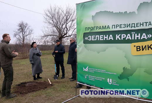 У Кропивницькому висадили символічне дерево (ФОТО)