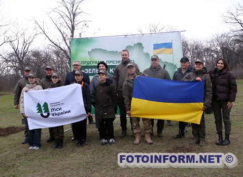 У Кропивницькому висадили символічне дерево (ФОТО)