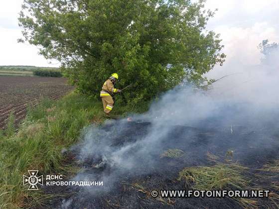 На Кіровоградщині шість разів горів сухостій