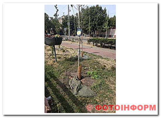У Кропивницькому вандали пошкодили мішки для поливу дерев (ФОТО)